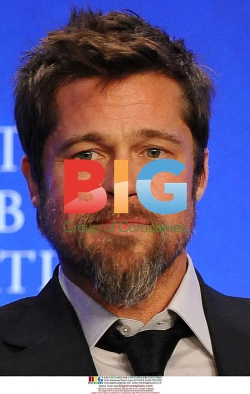Brad Pitt at Clinton Global Initiative