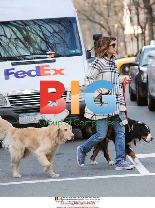 Jennifer Esposito Walking Dogs
