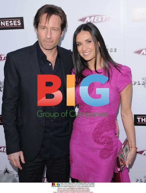 David Duchovny and Demi Moore at The Joneses Premiere