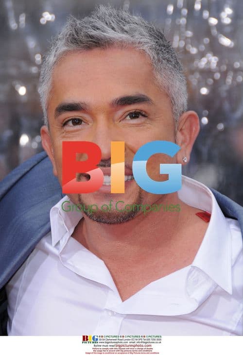 The Back Up Plan Premiere