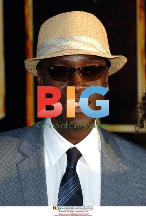 Don Cheadle at Iron Man 2 Premiere