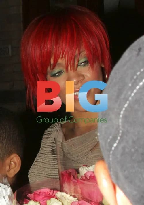 Rihanna Leaves Dinner with Brother Rajad