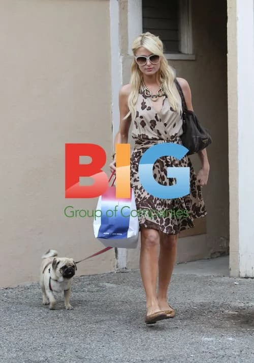 Paris Hilton Walks Puppy