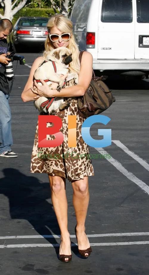 Paris Hilton shops in West Hollywood
