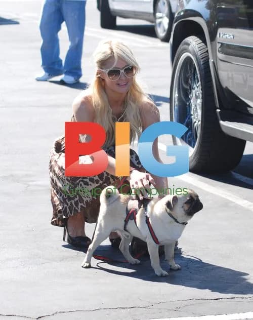 Paris Hilton Shopping in West Hollywood