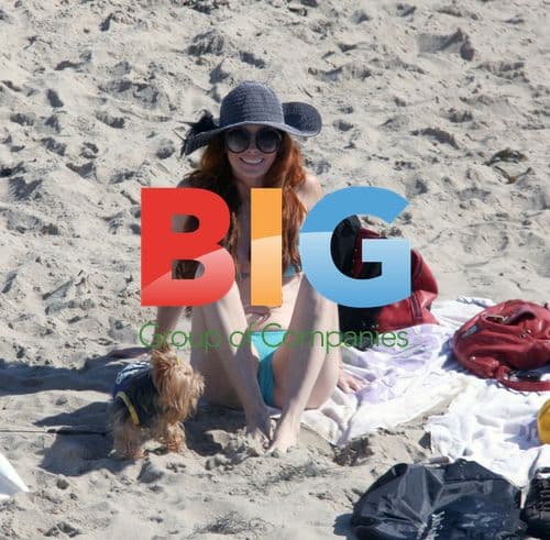 Phoebe Price Beach Day in Malibu