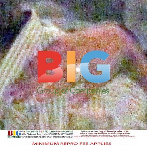 Clooney and Canalis Dine in Italy