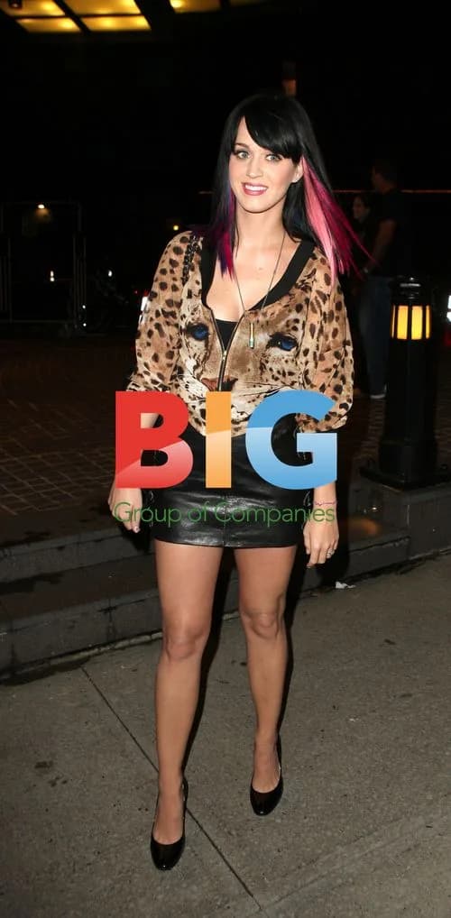 Katy Perry's Eclectic Outfit