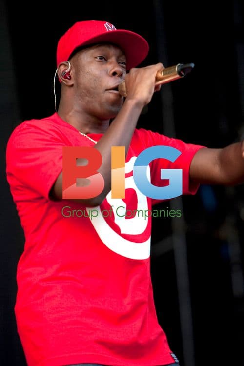 Dizzee Rascal at Leeds Festival 2010