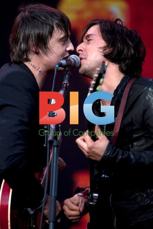 The Libertines at Leeds Festival 2010