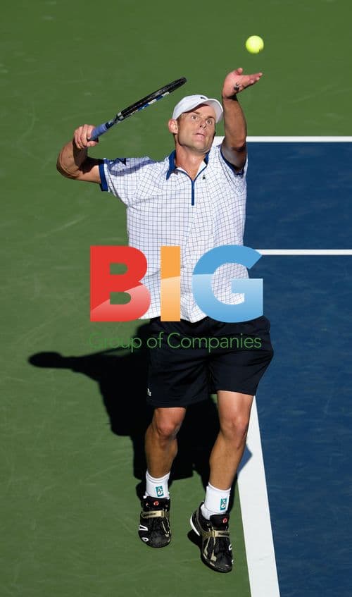 Andy Roddick at 2010 US Open