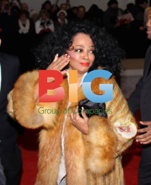 Diana Ross Arrives at 33rd Kennedy Center Honors