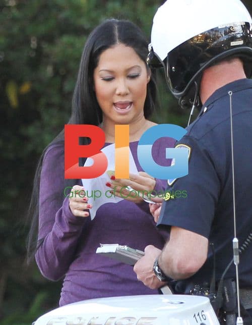 Kimora Lee Speeding Ticket