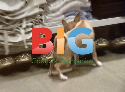 Paris Hilton Shopping at Kitson