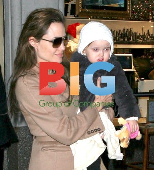 Brad Pitt and Angelina Jolie Shopping in NYC
