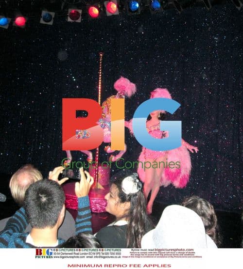Dita Von Teese in Pink Bikini