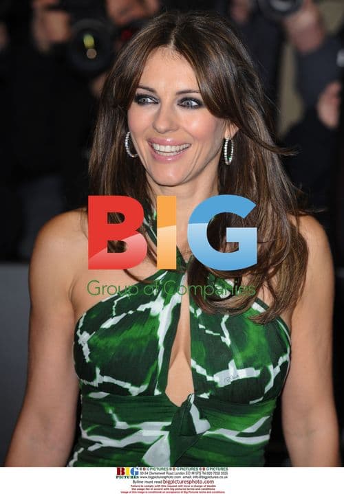 Elizabeth Hurley at 'A Single Man' Premiere
