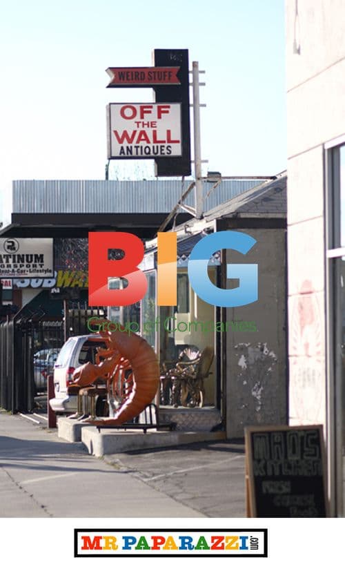 Russell Brand Shops Vintage on Melrose