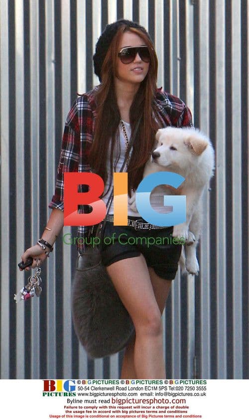 Miley Cyrus Out and About in LA