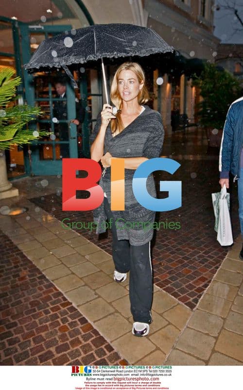 Denise Richards Laughs About Charlie Sheen's Car Incident