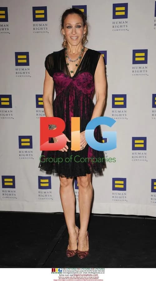 Sarah Jessica Parker at Human Rights Gala