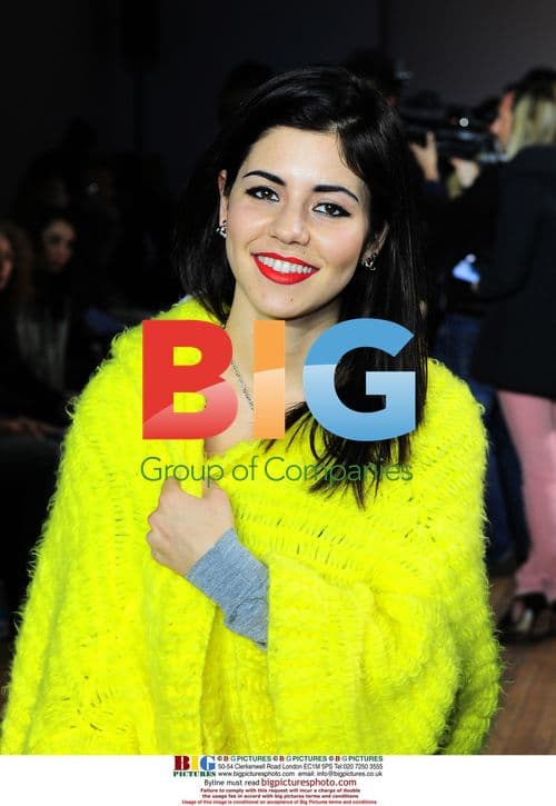 Celebs at House of Holland show