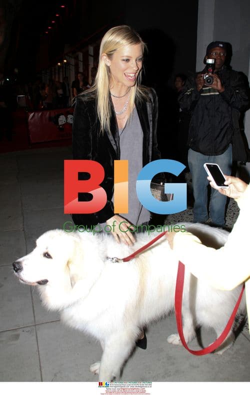 Amy Smart at Pucca Capsule Launch Party