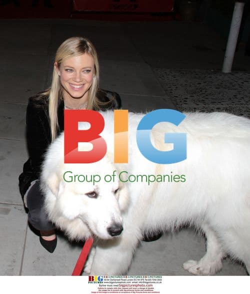 Amy Smart with Dog at Pucca Collection Launch