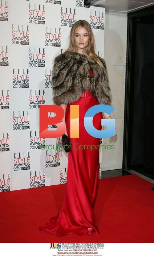 Rosie Huntington-Whiteley at Elle Style Awards 2010
