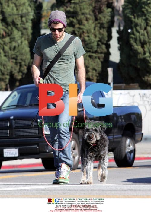Zachary Quinto walks dog in Los Feliz