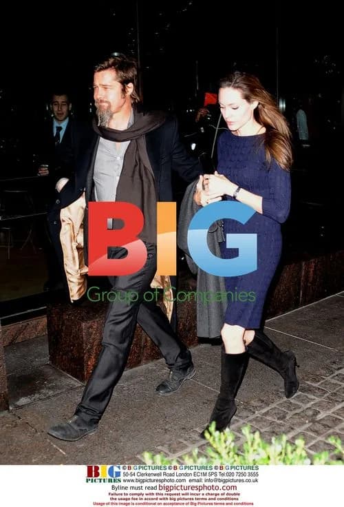 Brad Pitt and Angelina Jolie out to dinner