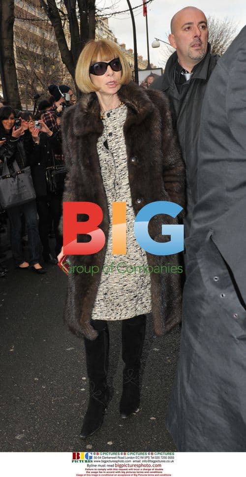 Celebs at Dior Spring/Summer 2010 Couture Show