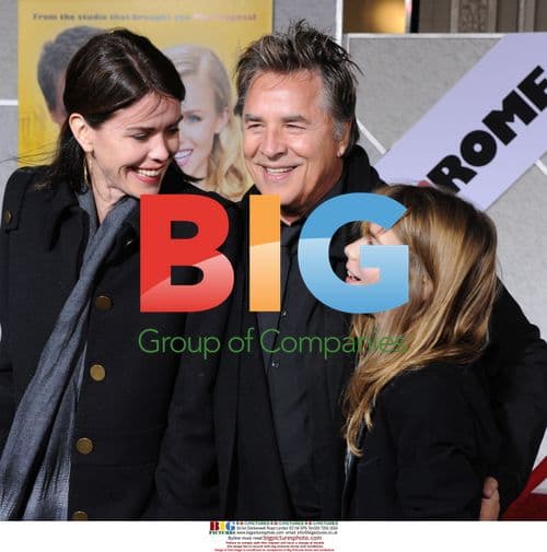 Don Johnson at "When In Rome" Premiere