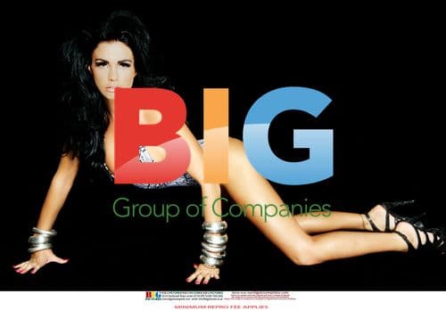 Katie Price Reid Poses in Snakeskin Swimsuit