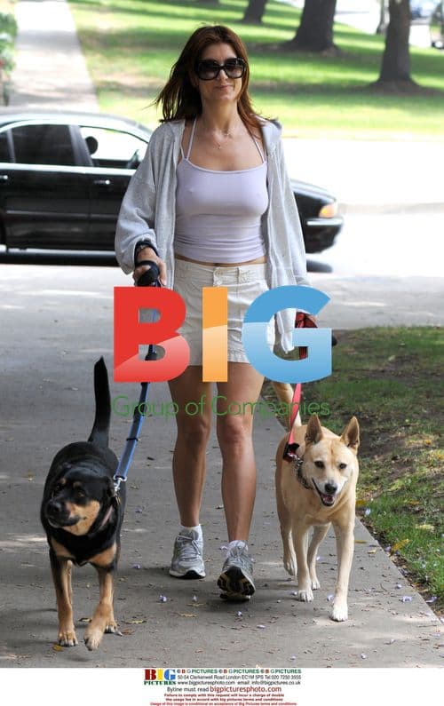 Kate Walsh Walking Dogs in LA
