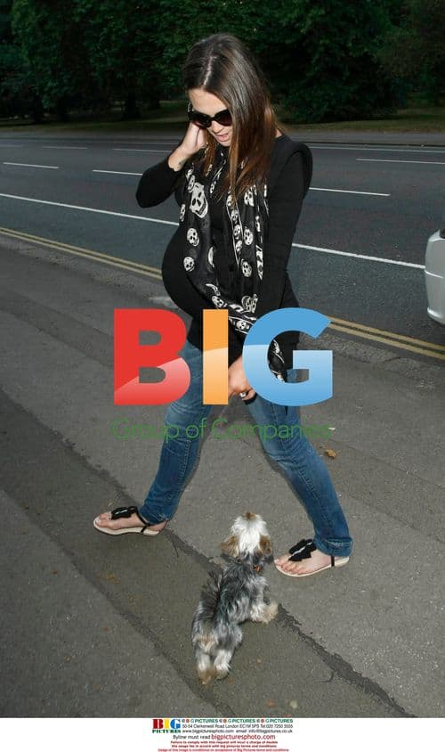 Pregnant Danielle Lloyd and Jamie O'Hara in Park