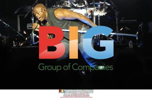 Seal in Concert in Zadar, Croatia