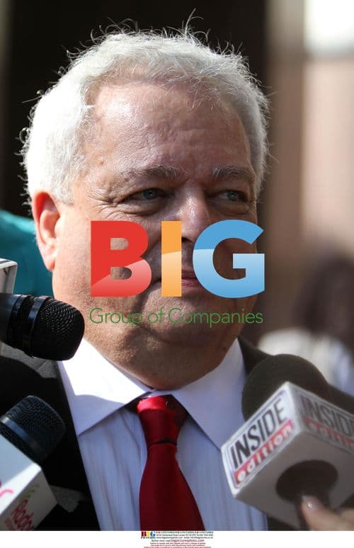 Mel Gibson's lawyer outside courthouse