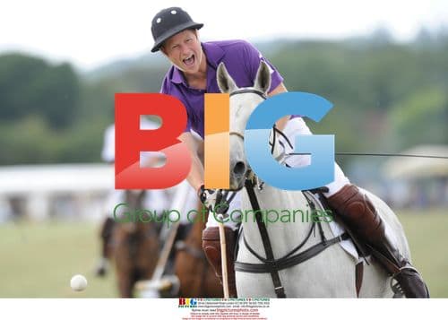 Prince Harry at The Asprey World Cup