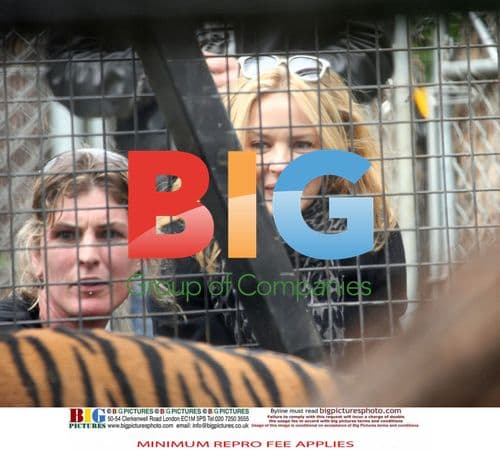 Kylie Minogue Feeds Tiger Cubs at Melbourne Zoo
