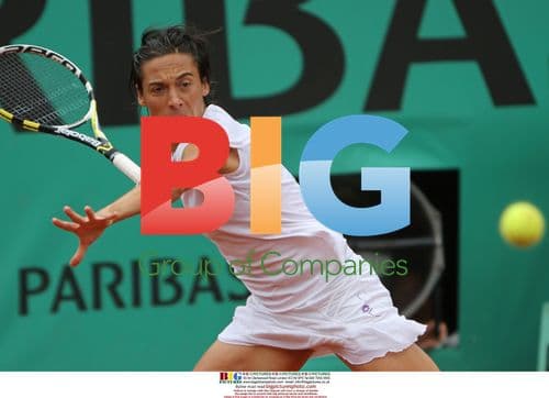 Francesca Schiavone hits shot at French Open