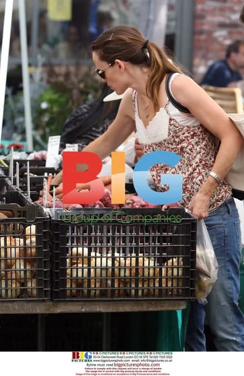 Jennifer Garner Grocery Shopping
