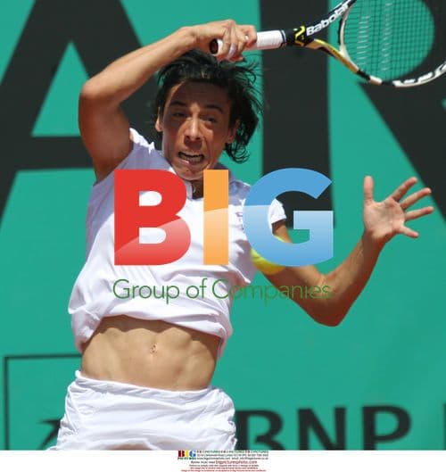 Francesca Schiavone hits shot in French Open semifinal