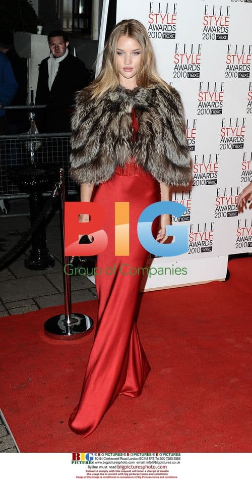 Rosie Huntington-Whiteley at Elle Style Awards 2010