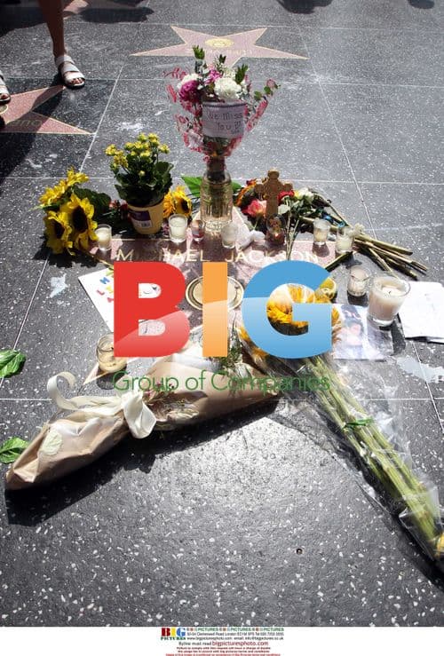 Fans Leave Flowers at Michael Jackson's Hollywood Star