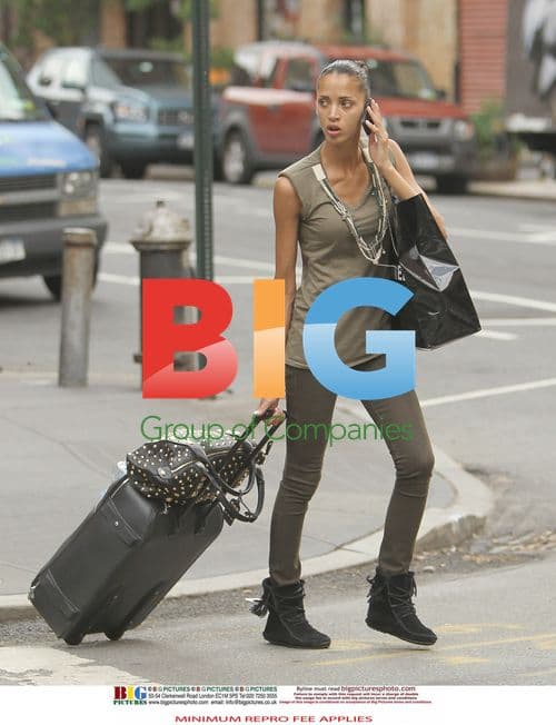 Noemie Lenoir Arrives in New York