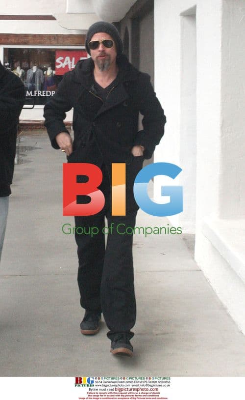 Brad Pitt shops for toys with friend