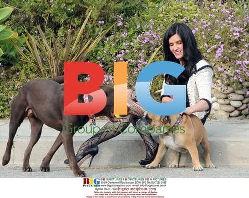 Super Model Janice Dickinson Walks Pets in Bel Air
