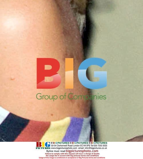 Pamela Anderson Arriving at London Hotel