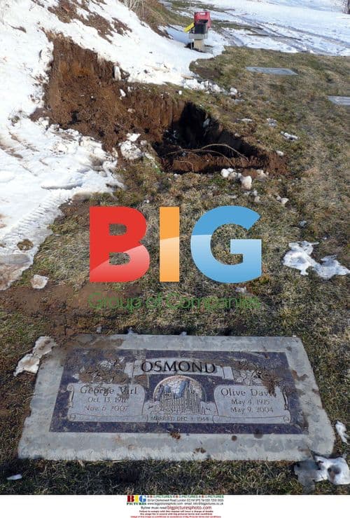 Marie Osmond's Son Michael Blosil's Burial Plot